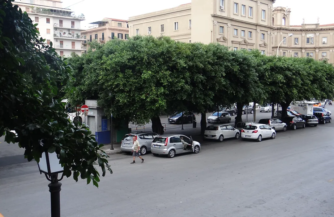 Monte Palace Palermo-1